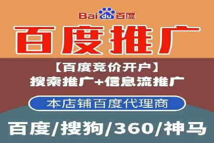 SEM推广技巧：成功案例深度剖析